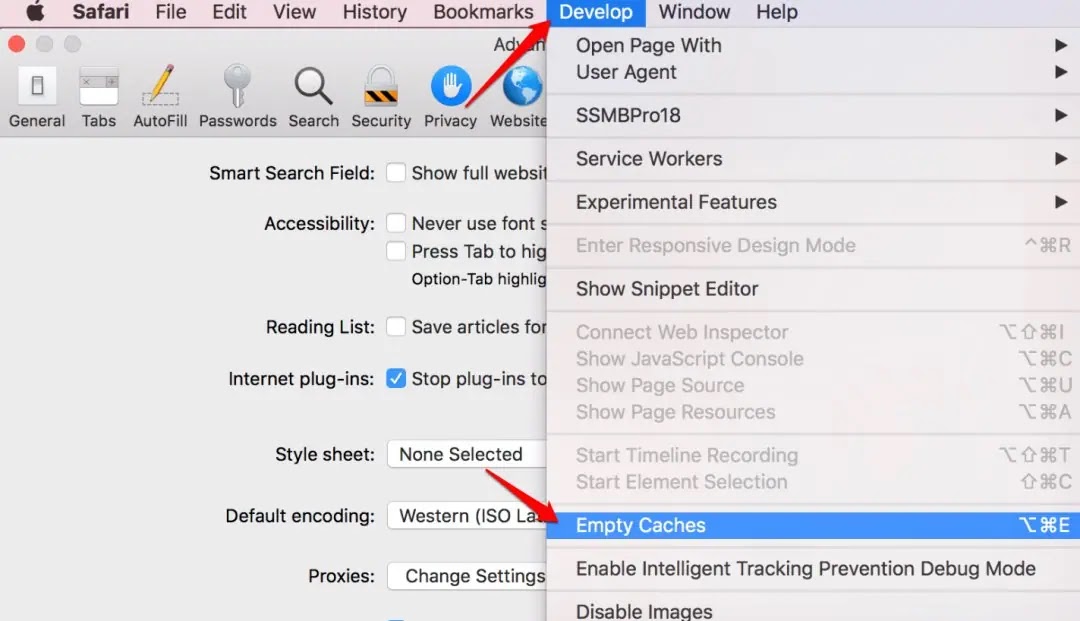 (دليل شامل) كيفية مسح بيانات ذاكرة التخزين المؤقتة على أي جهاز 2023