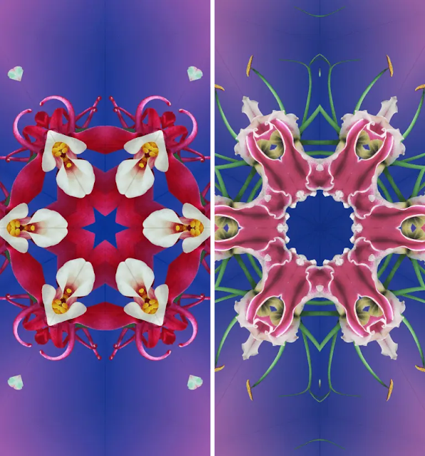 تحميل خلفيات iOS 17.1.1 للآيفون 2024 بجودة 4K لسلسة خلفيات Kaleidoscope