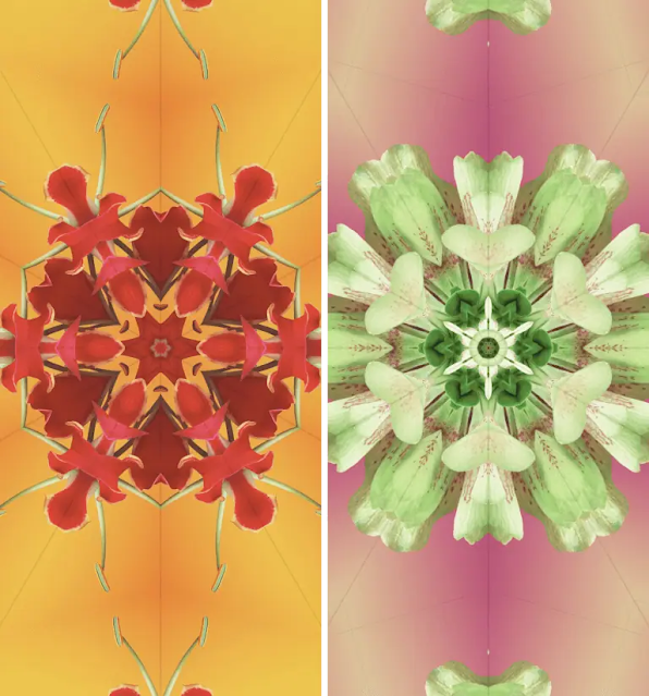 تحميل خلفيات iOS 17.1.1 للآيفون 2024 بجودة 4K لسلسة خلفيات Kaleidoscope